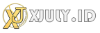 XJ MANAGEMENT
